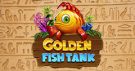 Golden Fish Tank